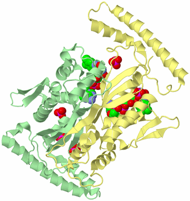 Image Biological Unit 5