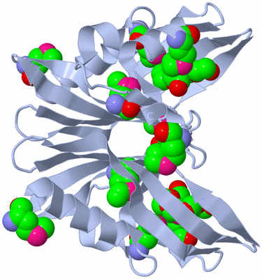 Image Biological Unit 1