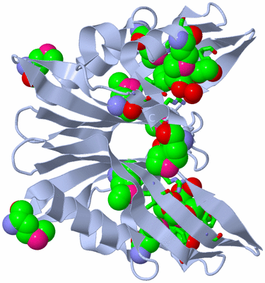 Image Biol. Unit 1 - sites