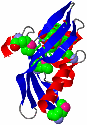 Image Asym. Unit - sites