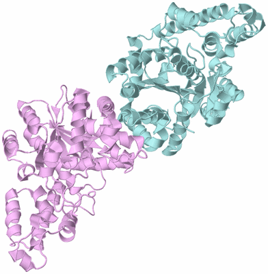 Image Biological Unit 3