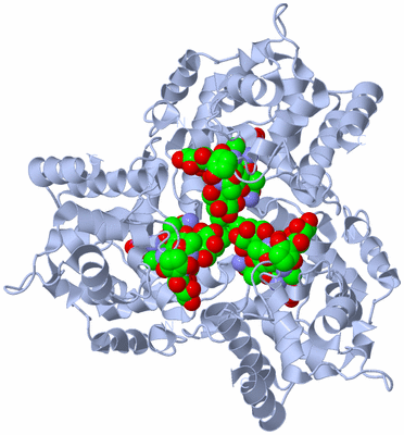 Image Biological Unit 1