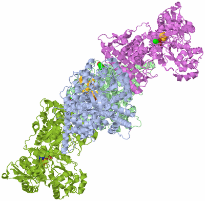 Image Biological Unit 1