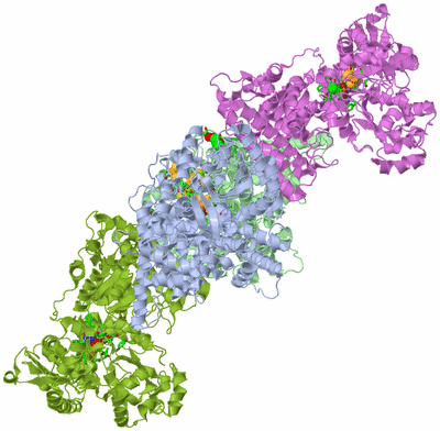 Image Biol. Unit 1 - sites