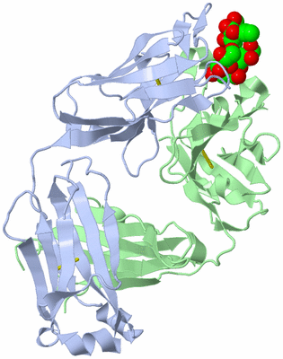 Image Biological Unit 1