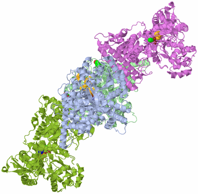 Image Biological Unit 1