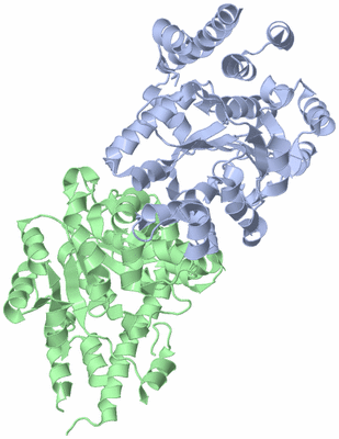 Image Asym./Biol. Unit