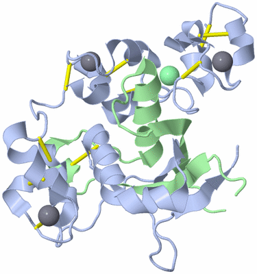 Image Biological Unit 1