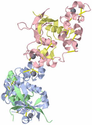 Image Biological Unit 3