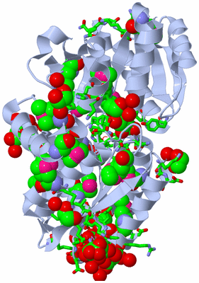 Image Biol. Unit 1 - sites