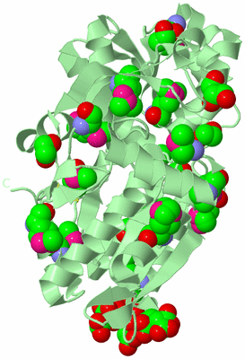 Image Biological Unit 2