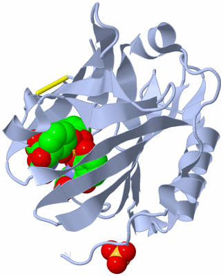 Image Biological Unit 1