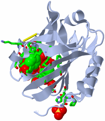 Image Biol. Unit 1 - sites