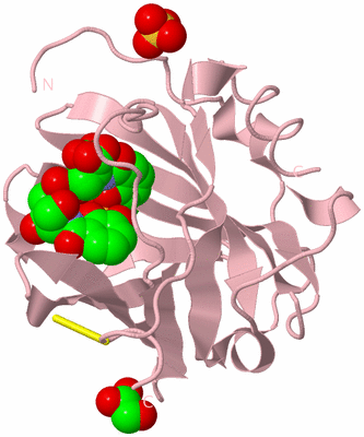 Image Biological Unit 3