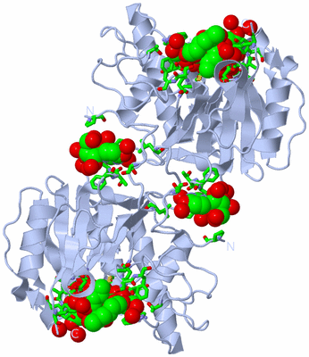 Image Biol. Unit 1 - sites