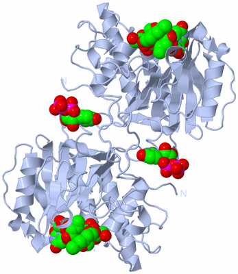 Image Biological Unit 1