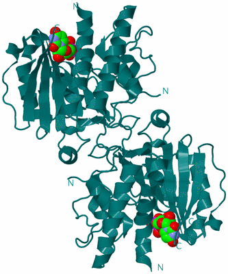 Image Biological Unit 1