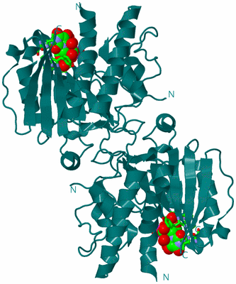 Image Biol. Unit 1 - sites