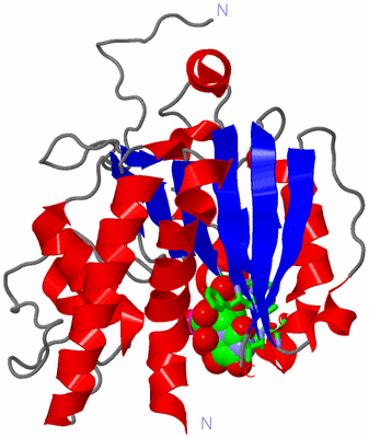 Image Asym. Unit - sites