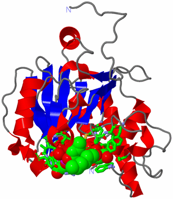 Image Asym. Unit - sites