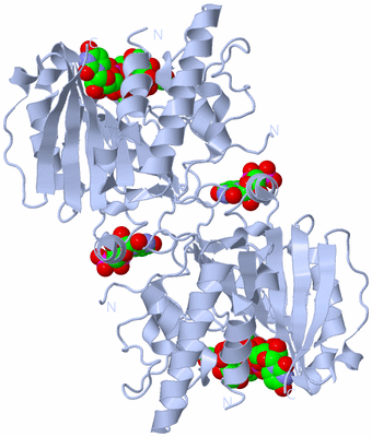 Image Biological Unit 1