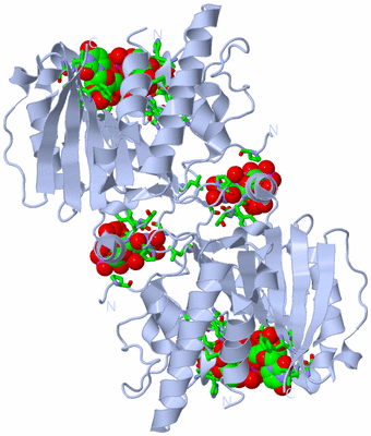 Image Biol. Unit 1 - sites