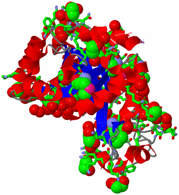 Image Asym./Biol. Unit - sites