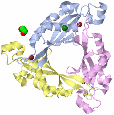 Image Biological Unit 1