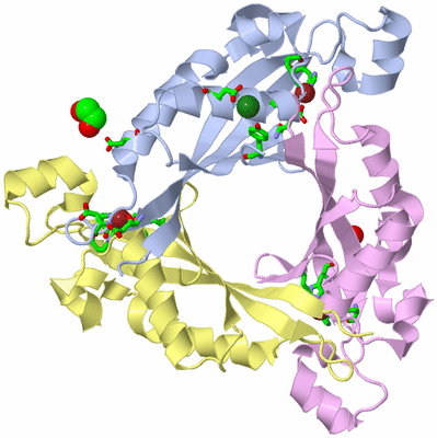 Image Biol. Unit 1 - sites