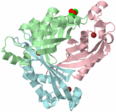 Image Biological Unit 2