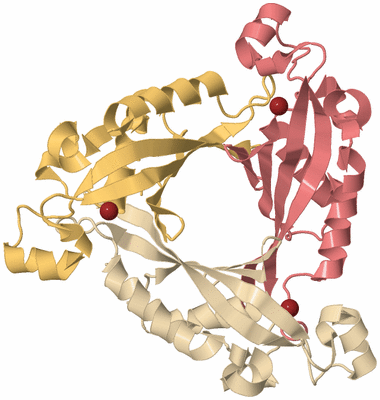 Image Biological Unit 3