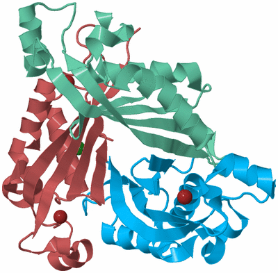 Image Biological Unit 4