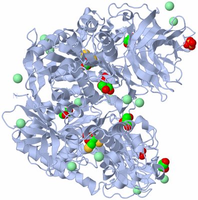 Image Biological Unit 1