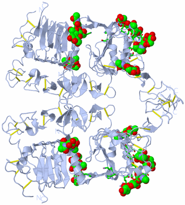 Image Biol. Unit 1 - sites