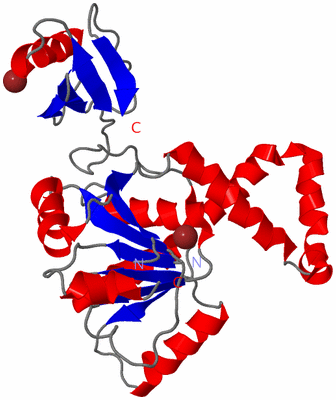 Image Asymmetric Unit