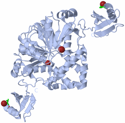 Image Biol. Unit 1 - sites