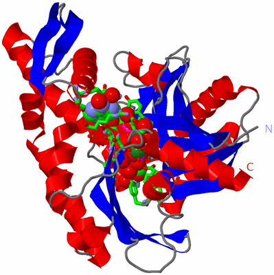 Image Asym./Biol. Unit - sites