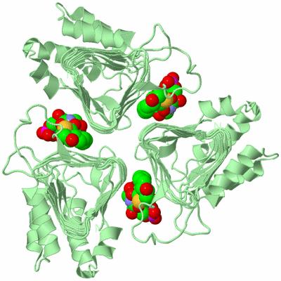 Image Biological Unit 2