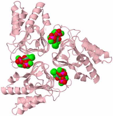 Image Biological Unit 3