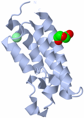 Image Biological Unit 1