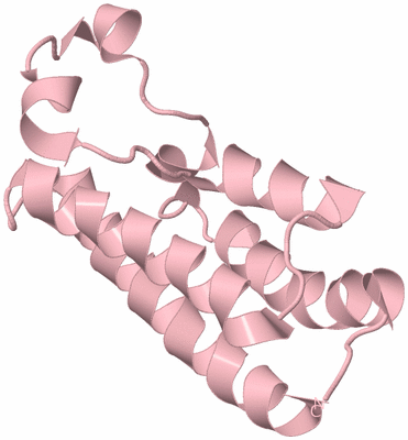 Image Biological Unit 3