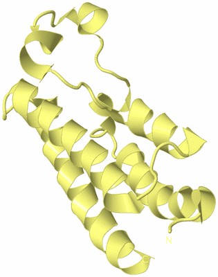 Image Biological Unit 4