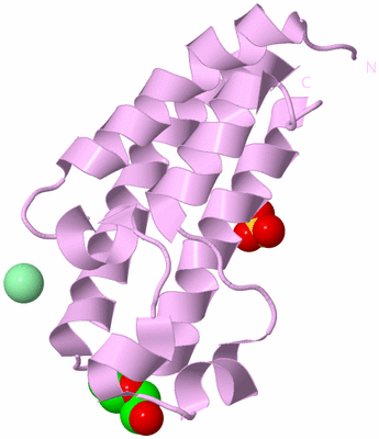 Image Biological Unit 5