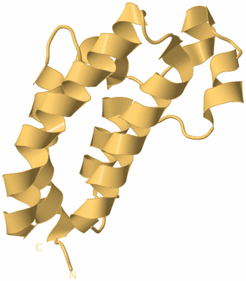 Image Biological Unit 7