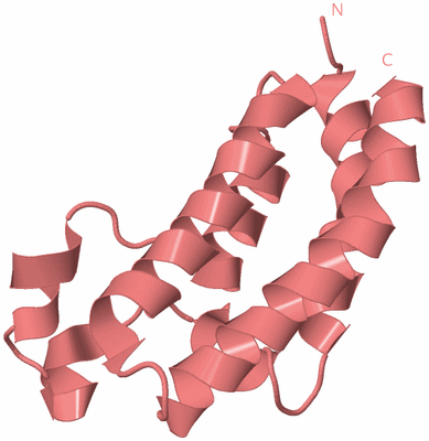 Image Biological Unit 8