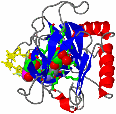 Image Asym./Biol. Unit - sites