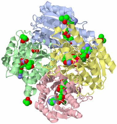 Image Biological Unit 1