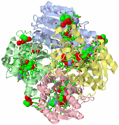 Image Biol. Unit 1 - sites