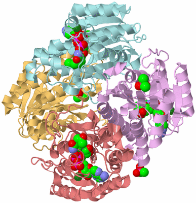 Image Biological Unit 2