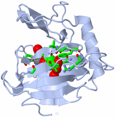 Image Biol. Unit 1 - sites